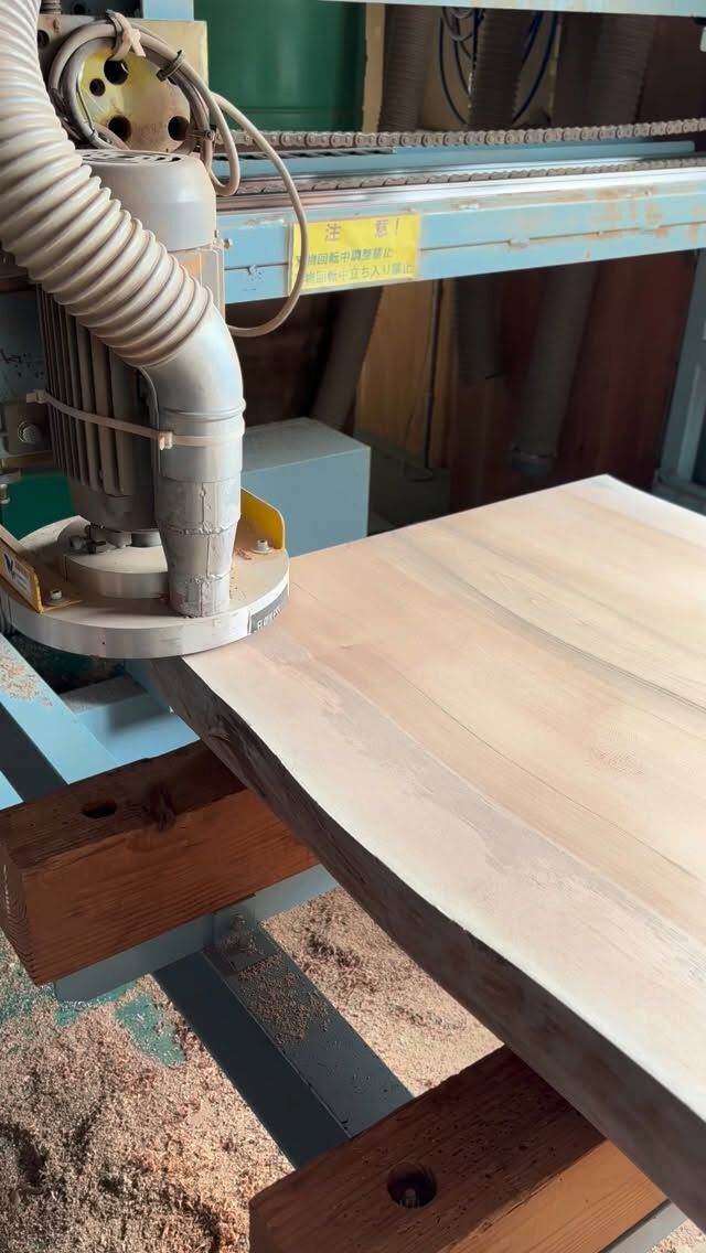 TK貝塚伊吹特大丸太サイドテーブル オブジェ台 最終金額 TK様専用貝塚