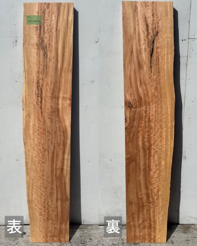 New】身近な木！貝塚伊吹（製材） | 工房 秋の森