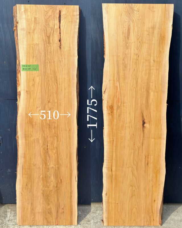 New】身近な木！貝塚伊吹（製材） | 工房 秋の森