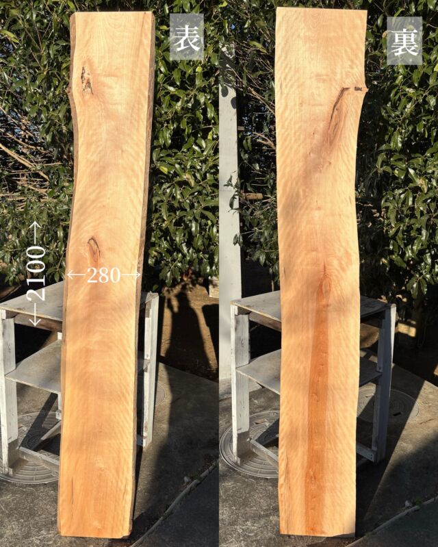 New】身近な木！貝塚伊吹を製材（製材） | 工房 秋の森